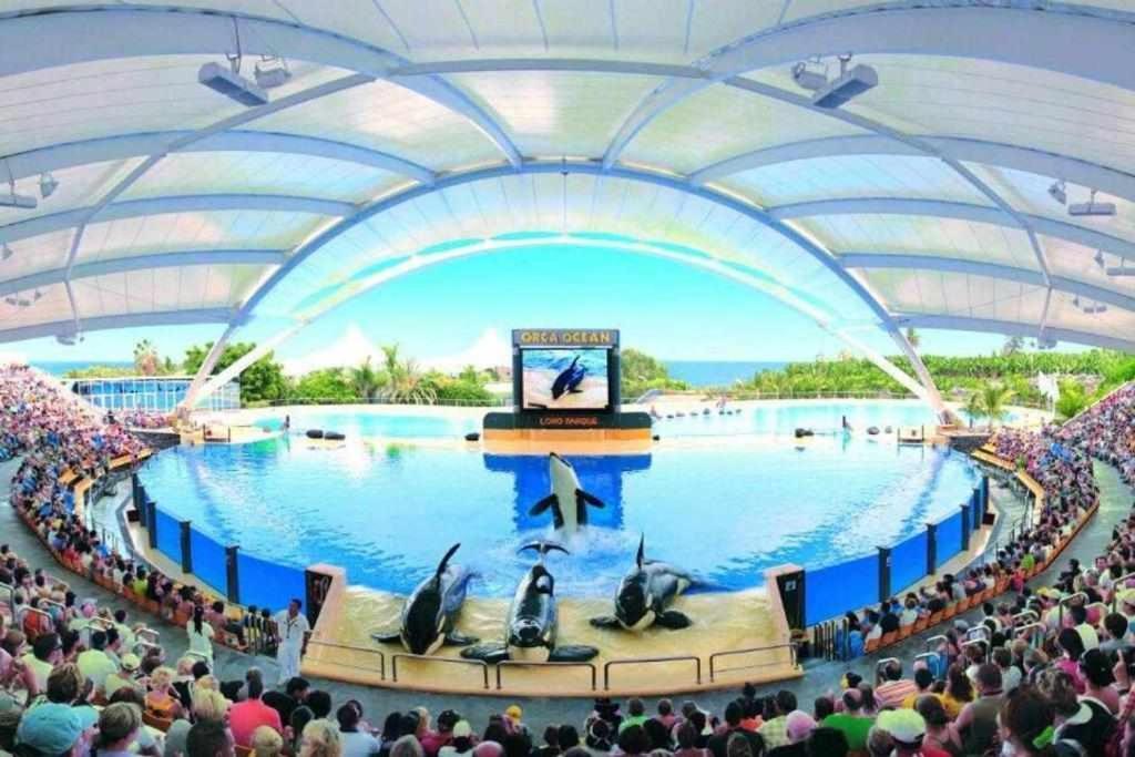 Ferienwohnung Vistas al TeidePiscina WiFi Puerto de la Cruz  Exterior foto